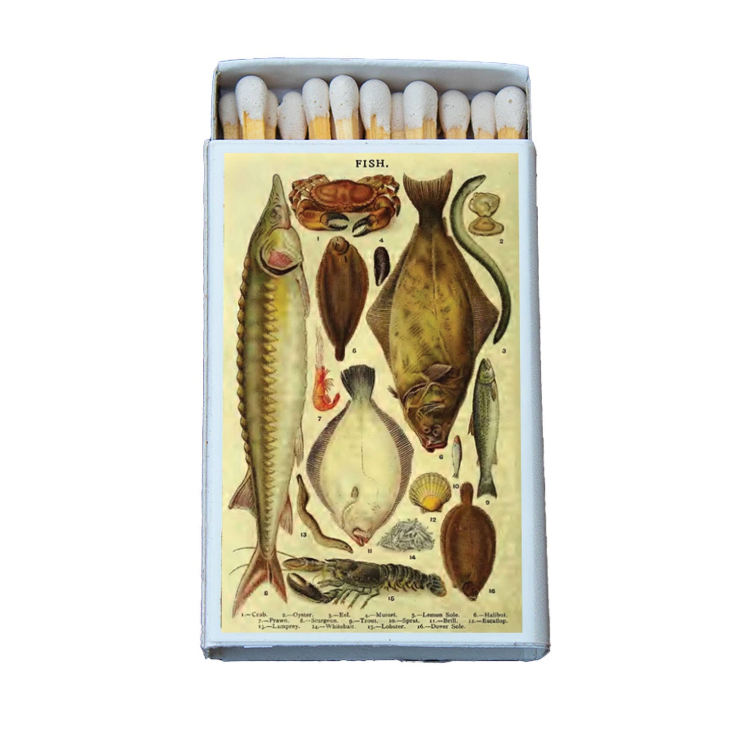 Matches • Fish Variety • Home Decor for Candles and Incense